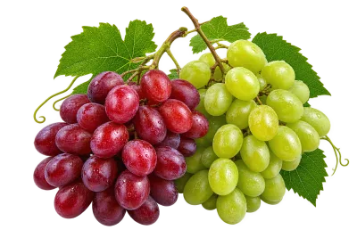 Fresh Red and Green Grapes with Green Leaves Isolated on Transparent Background